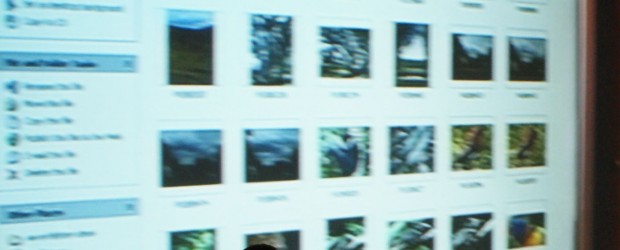 Digital Sampler May 2011 Recent examples of Digital Media sent to us by Digital Media Makers around regional SA. Share your pixels!